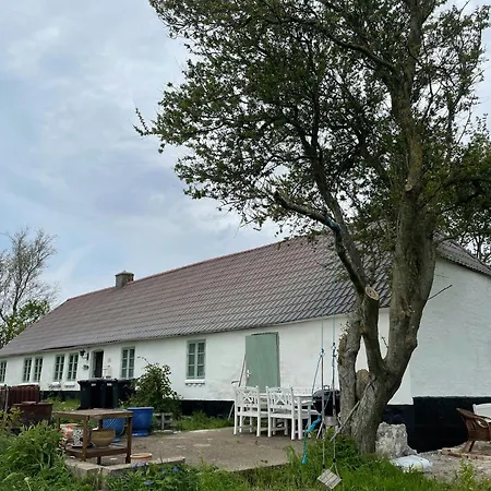 度假居 Cut Branches, Make Fire And Gaze At Treetops