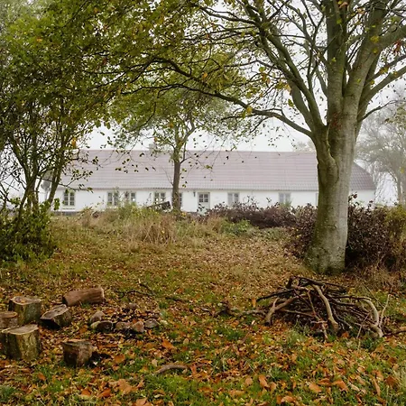 Cut Branches, Make Fire And Gaze At Treetops Semesterbostad Nykobing Mors