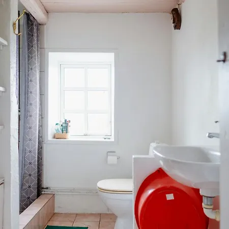 Cut Branches, Make Fire And Gaze At Treetops 尼克宾摩斯