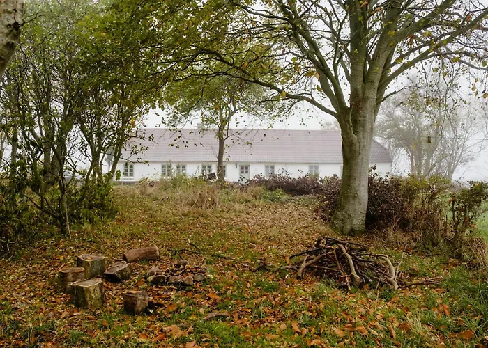 Cut Branches, Make Fire And Gaze At Treetops Semesterbostad Nykobing Mors
