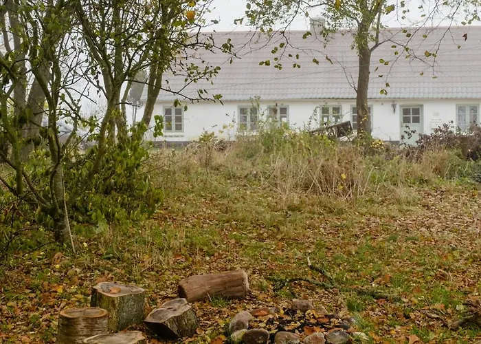 Semesterbostad Cut Branches, Make Fire And Gaze At Treetops Nykobing Mors